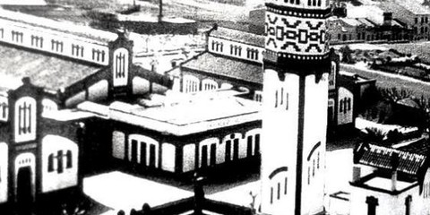 foto de la persona que realitzarà l'activitat